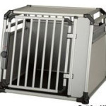 Hundebox Border Collie