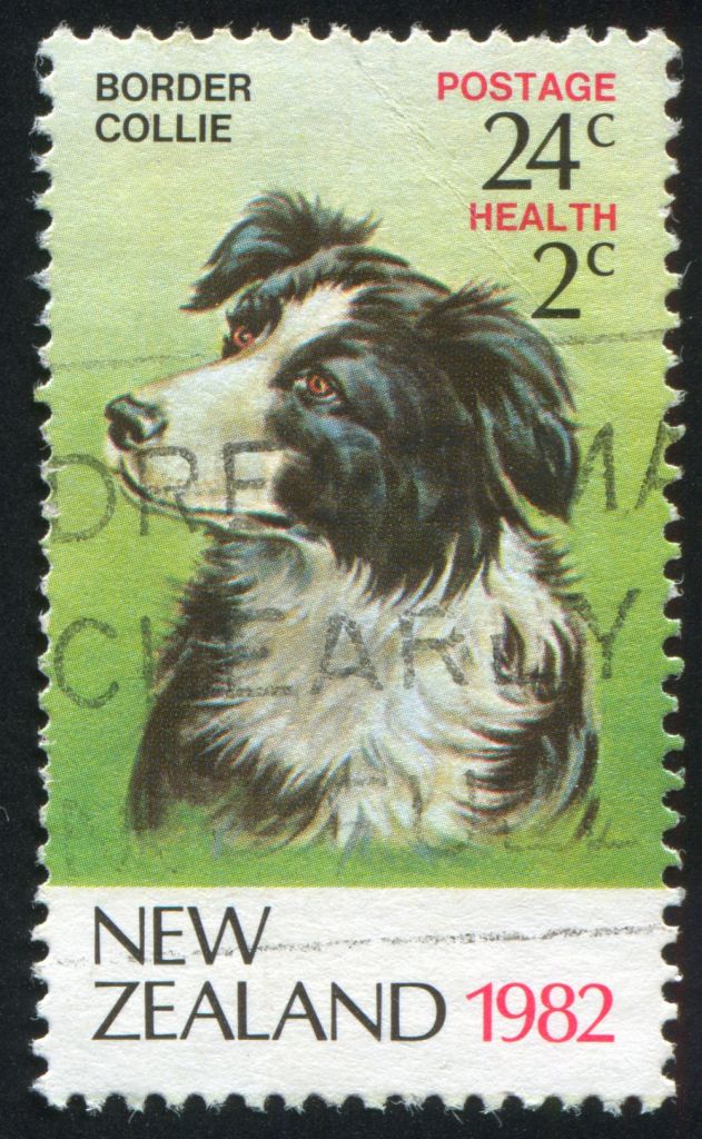 Border Collie auf Briefmarke in Neuseeland