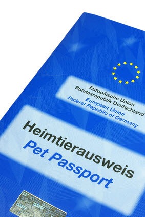 Der EU-Heimtierausweis ist ein Art internationaler Impfpass, der bei Reisen innerhalb der EU mitgeführt werden muss.