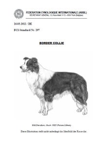 Border Collie FCI Standard