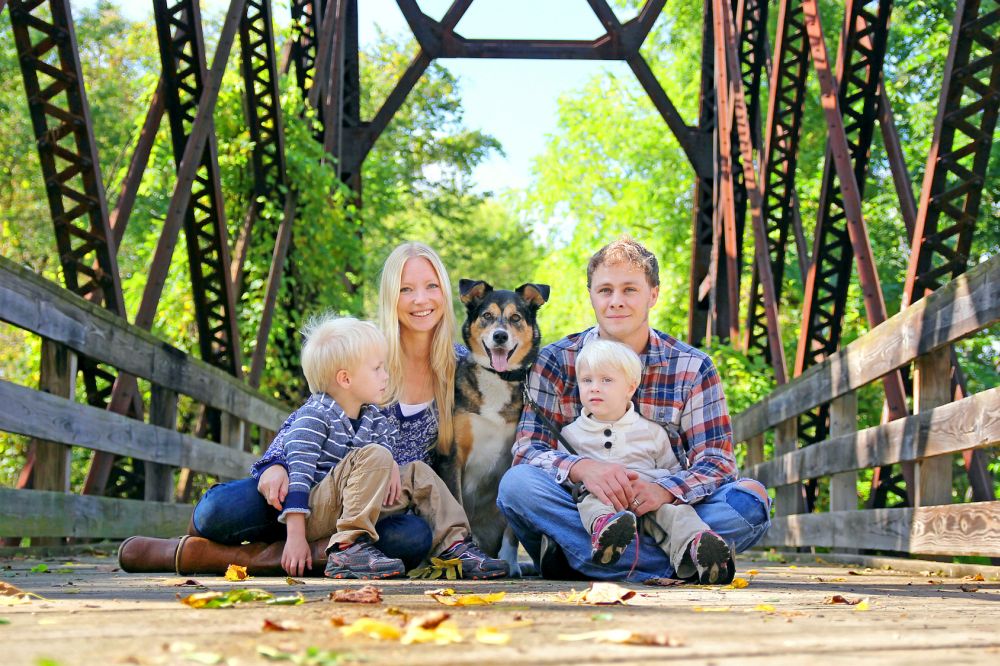 Border Collie Familienhund