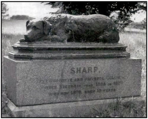 Denkmal Border Collie Sharp