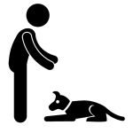 Border Collie Grundkommandos: Platz