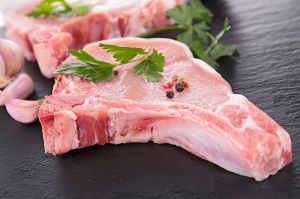Rohes Schweinefleisch Futter Border Collie