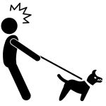 Border Collie an der Leine
