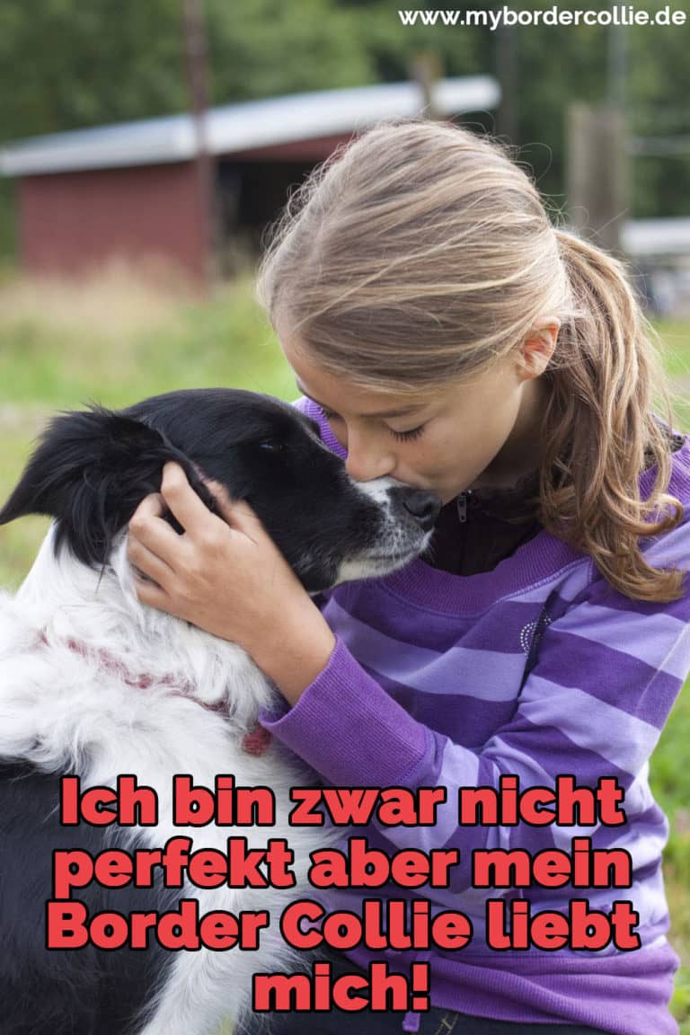 Border Collie Zitate und Sprüche myBorderCollie.de