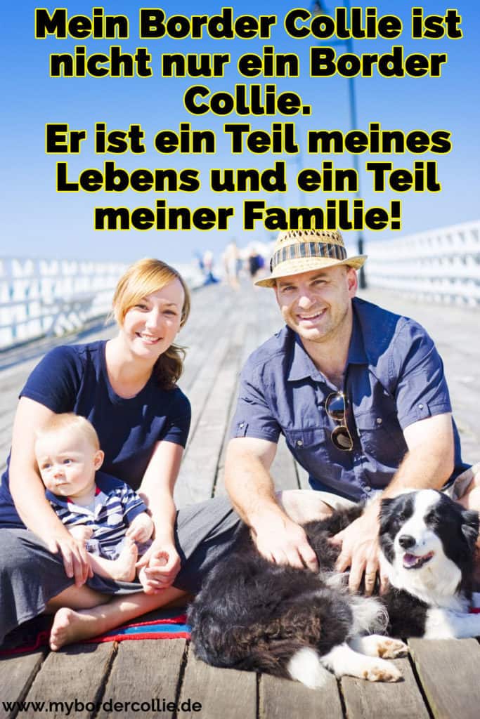 Border Collie Zitate und Sprüche myBorderCollie.de