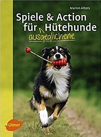 Buch wie ich einen Border Collie beschäftige