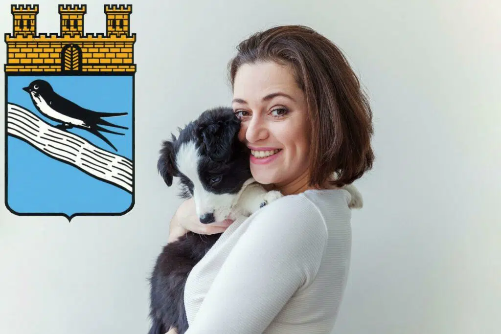Border Collie Züchter mit Welpen Bad Schwalbach, Hessen