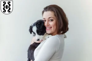 Mehr über den Artikel erfahren Border Collie Züchter und Welpen in Bad Dürkheim
