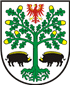 Beste Border Collies Züchter in der Nähe von Eberswalde und Umgebung.