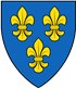 Beste Border Collies Züchter in der Nähe von Wiesbaden und Umgebung.