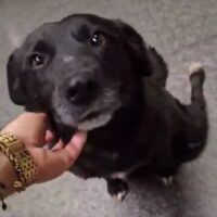 Soul❤️Gnadenplätzchen für liebe Seele gesucht