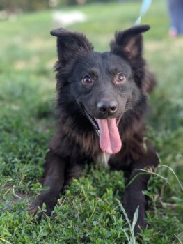 💙MISCHA💙