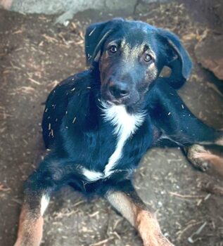 Miniaturansicht für das Anzeigenbild