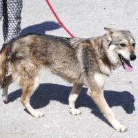 Mya (weibl., geb. ca. Juli 2019)