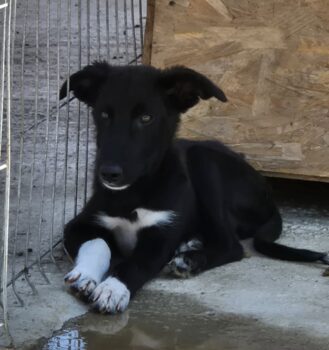 Miniaturansicht für das Anzeigenbild