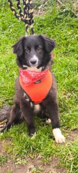 Alia sucht Ihre Familie