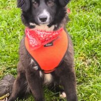 Alia sucht Ihre Familie