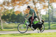 Border Collie Running with Cycling Owner